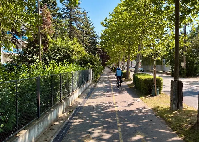 Csopartman 아파트 초팍